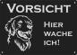 Preview: Golden Retriever | Aluminium Warnschild